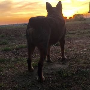 Meet your Posher, Laurie